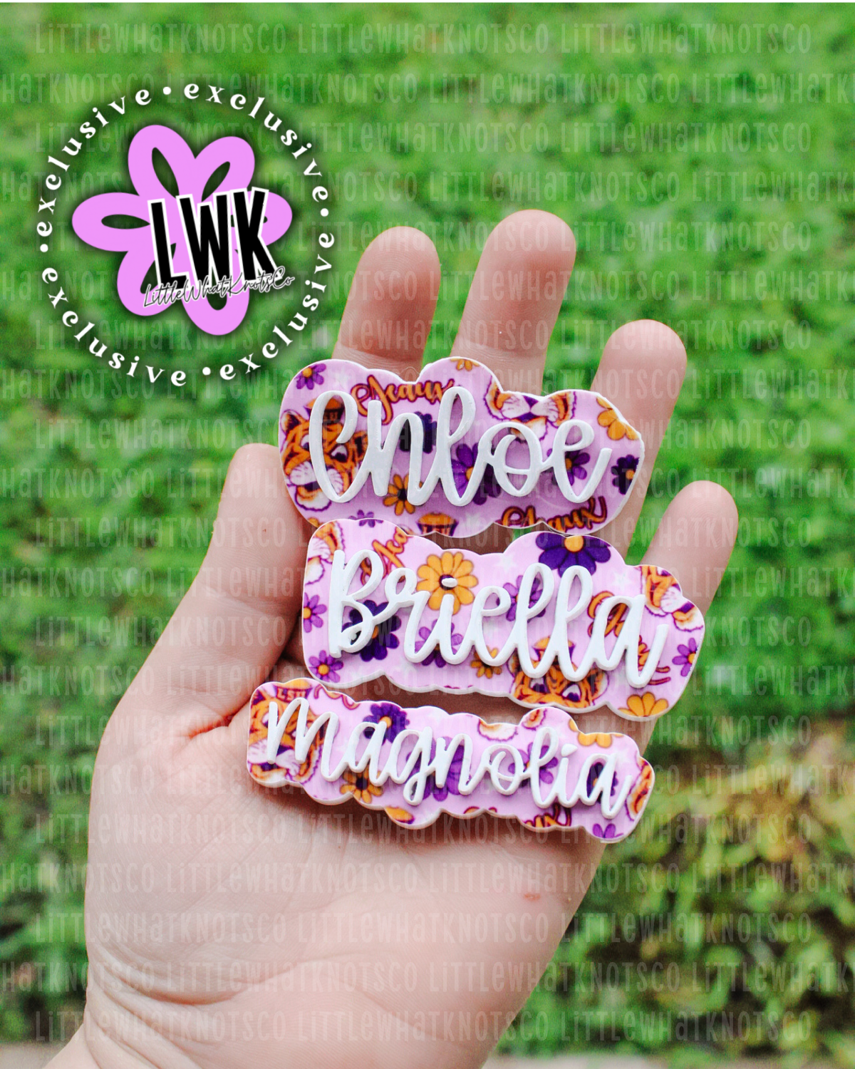 Geauxlden Name Clips
