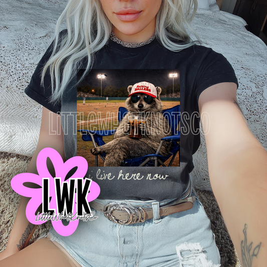 Ballpark Rodent (bubbles, youth & adult tees)